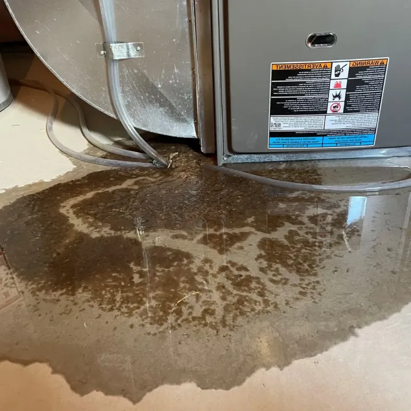 Pipe Burst and Leak Restoration in Santa Fe County, NM