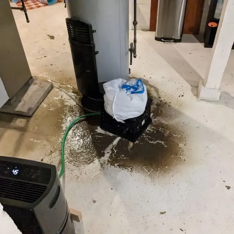 Sewage Backup Cleanup Service in Santa Fe County, NM
